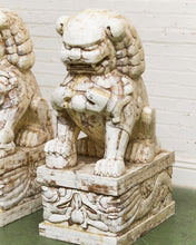 Load image into Gallery viewer, Pair of Monumental Carved Ox Bone Guardian Lions on Plinths
