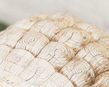 Load image into Gallery viewer, Pair of Monumental Carved Ox Bone Guardian Lions on Plinths