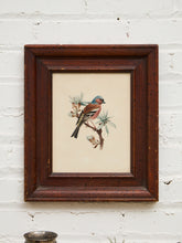 Load image into Gallery viewer, Vintage Bird