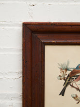 Load image into Gallery viewer, Vintage Bird