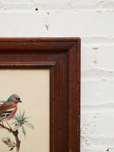Load image into Gallery viewer, Vintage Bird