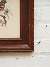 Load image into Gallery viewer, Vintage Bird