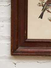 Load image into Gallery viewer, Vintage Bird