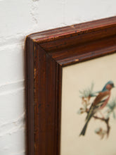 Load image into Gallery viewer, Vintage Bird