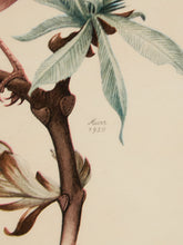 Load image into Gallery viewer, Vintage Bird