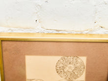 Load image into Gallery viewer, Glorious Halleluja