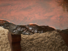 Load image into Gallery viewer, Organic Burl Redwood Coffee Table