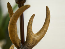 Load image into Gallery viewer, Antler Table Lamp