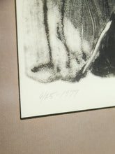 Load image into Gallery viewer, Mid Century Gray Falcon Lithograph Signed by Bryan Nelson