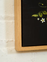 Load image into Gallery viewer, Skull and Hummingbird Botanical Still Life on Black