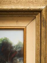 Load image into Gallery viewer, Framed River Landscape Oil Painting by Towski