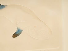 Load image into Gallery viewer, Embossed Etching Signed