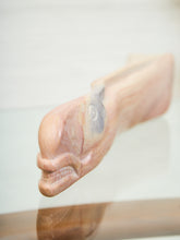 Load image into Gallery viewer, Hand-Carved Soapstone Fish Sculpture – Organic Modern 2 pieces