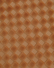 Load image into Gallery viewer, TRex in Checker Blush