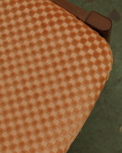 Load image into Gallery viewer, TRex in Checker Blush