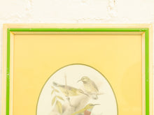 Load image into Gallery viewer, Vintage Birds by George Edwards