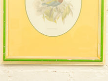 Load image into Gallery viewer, Vintage Birds by George Edwards