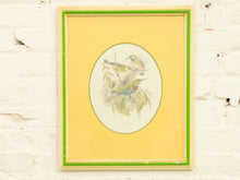 Load image into Gallery viewer, Vintage Birds by George Edwards