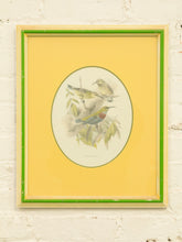 Load image into Gallery viewer, Vintage Birds by George Edwards