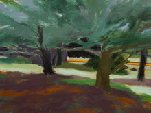 Load image into Gallery viewer, Between the Trees Beauty oil painting signed by Don Rees