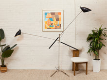 Load image into Gallery viewer, Doublepod by David Weeks