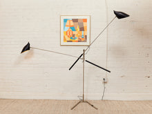 Load image into Gallery viewer, Doublepod by David Weeks