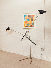 Load image into Gallery viewer, Doublepod by David Weeks