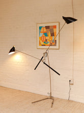 Load image into Gallery viewer, Doublepod by David Weeks