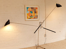 Load image into Gallery viewer, Doublepod by David Weeks