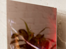Load image into Gallery viewer, Martini Cocktail Photograph with Olive on Acrylic