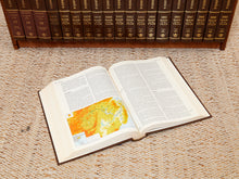 Load image into Gallery viewer, Encyclopedia Vintage Bookshelf