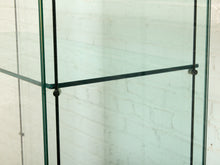 Load image into Gallery viewer, Glass Collectibles Display Cabinet