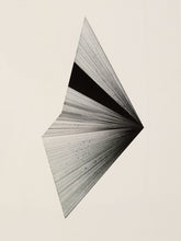 Load image into Gallery viewer, Black and White Abstract