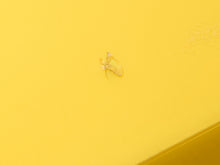 Load image into Gallery viewer, Large Yellow Pedestal