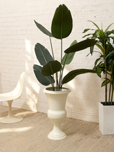 Load image into Gallery viewer, Large White Greek Style Vase