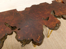 Load image into Gallery viewer, A rustic live-edge wooden coffee table with a rich, glossy dark brown and black burl wood top, supported by slim gold metal hairpin legs on a beige woven rug.