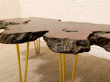 Load image into Gallery viewer, A rustic live-edge wood coffee table with a dark brown and black natural wood top and slim gold metal hairpin legs, shown in a room setting with a white brick wall and beige carpet.