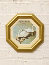 Load image into Gallery viewer, Vintage illustration of two white swans and cygnets swimming on blue water in an octagonal gold-tone frame