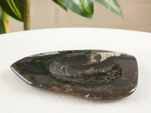 Load image into Gallery viewer, A polished dark stone tray with a smooth, curved organic shape, resting on a textured white fabric surface with blurred green leaves in the background.