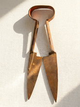 Load image into Gallery viewer, Antique primitive metal sheep shears with tapered blades, spring handles, and heavily aged rusted patina