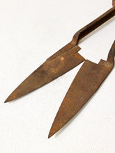 Load image into Gallery viewer, Antique primitive metal sheep shears with tapered blades, spring handles, and heavily aged rusted patina