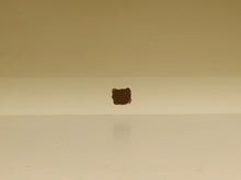 Load image into Gallery viewer, A small, dark brown, irregularly shaped piece of debris or a fragment floating in the center of a plain, off-white surface with a matching beige background.