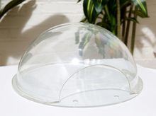 Load image into Gallery viewer, Clear acrylic dome cover with a semi-circular front support arch, displayed on a white surface with a white brick wall and green plants in the background.