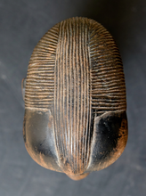 Load image into Gallery viewer, Image 6 of 13: An ancient Egyptian scarab beetle figurine, shown from a top-down view, featuring detailed ribbed wings and a dark polished body on a dark gray background.