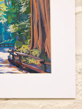 Load image into Gallery viewer, California redwoods landscape art by D. Rose with towering redwood trees, shaded forest path, green foliage, and cream mat