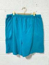 Load image into Gallery viewer, Vintage Soft Turquoise Shorts (18W)