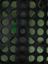 Load image into Gallery viewer, 70s Italian Polo Chair by Paolo Parigi