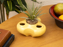 Load image into Gallery viewer, Yellow Mid Century Planter