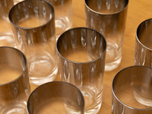 Load image into Gallery viewer, Set of 11 Dorothy Thorpe Glasses