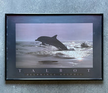 Load image into Gallery viewer, Delphinus Delphis, Poster Framed